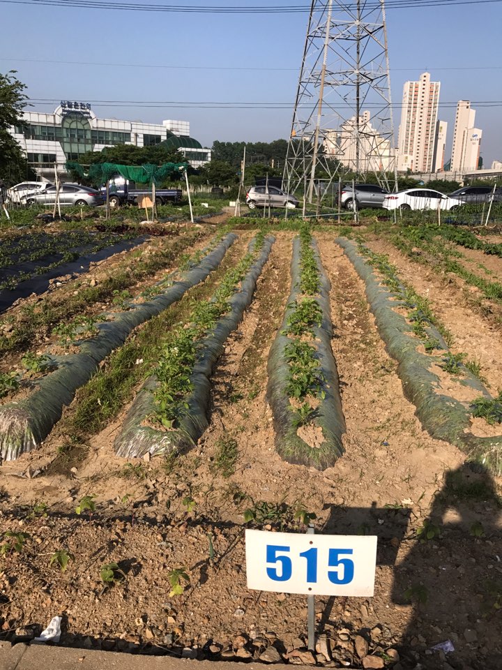 KakaoTalk_20180528_233451801.jpg